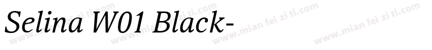Selina W01 Black字体转换